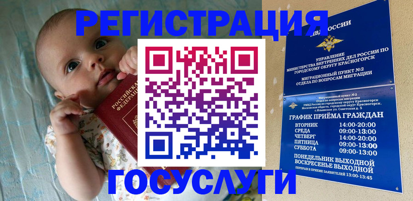 прописка иностранных граждан в Петропавловске-Камчатском