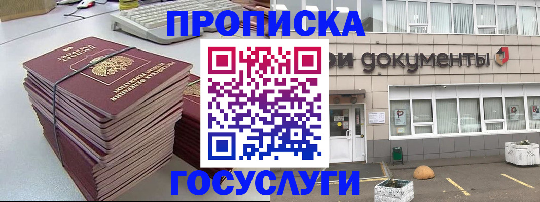 временная регистрация поиск в Петропавловске-Камчатском